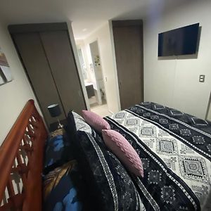 Apartamento Deluxe de 1 Dormitorio